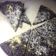 Cooksnap dari Desy Bachti untuk resep Brownies Diet