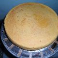 El cooksnap de Ramon Ojeda cuando hizo Torta de calabaza sin huevos ni leche.