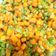 Cooksnap dari Alfa's mom untuk resep Oseng oseng buncis wortel