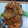 El cooksnap de Ana Isabel G C cuando hizo Alitas de pollo fritas en aceite girasol y muy crujientes.