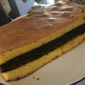 Cooksnap dari ayko untuk resep Lapis surabaya ala zahra