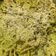 El cooksnap de Elisan cuando hizo Spaghetti con pesto de aguacate.
