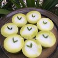 Cooksnap dari Resep Bunda untuk resep Kue cantik manis pandan,nona cantik,talam pandan