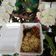 Cooksnap dari Salsabilla untuk resep Ayam untuk mie ayam (homemade)