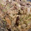 魏綺綺 的 古早味高麗菜飯 cooksnap