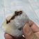Cooksnap dari Eva untuk resep Mochi isi coklat takaran sendok