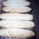 El cooksnap de Jorge Gustavo Saravia Amaral cuando hizo Pan casero muy rico y fácil. 🍞.