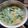 Cooksnap dari Raven Joanna untuk resep Bobor Bayam Wortel with fibercreme