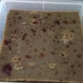 Cooksnap dari yeni untuk resep Lapis Engkak Ketan 2