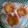 Cooksnap dari Dessy Pratiwi untuk resep orange cup cake