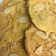 Cooksnap dari nophivi untuk resep Almond crispy cheese