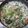 Cooksnap dari Sangaji untuk resep Olah-olah