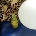 Rajeshwari Bhat's cooksnap of when they made Palak shorba.