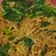 Cooksnap dari Asih untuk resep Mie Goreng Jawa Nyemek