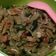 Cooksnap dari Erna Kasihany untuk resep Tumis Paria/pare no pahit
