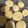El cooksnap de Mari N cuando hizo Galletitas de limón.