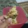 Cooksnap dari sk.wardani untuk resep peyek kacang daun kucai ala orang tegal