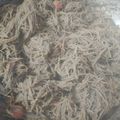 Shahida's cooksnap of when they made ராகி மசாலா சேமியா(ragi masala semiya recipe in tamil).