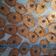 Cooksnap dari Lili Hikmawati untuk resep Kue Janda Genit (Monde Cookies)