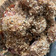 Chung-Min Liao 的 簡單電鍋年菜/ 粉蒸排骨 cooksnap