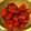 El cooksnap de Myriam Naddeo cuando hizo Tomatitos cherry caramelizados.