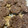 El cooksnap de Maria Abellan cuando hizo Galletas de avena con plátano 2 versiones.