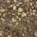 Mary Hofstein's cooksnap of when they made Ground Beef and Potato Curry.