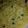 HALIMA MU'AZU aka Ummeetah's cooksnap of when they made Hot Noodles.