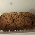 Cooksnap dari Abe Moore untuk resep Kue Kering Choco Chip (Cookies)