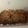 Cooksnap dari Abe Moore untuk resep Kue Kering Choco Chip (Cookies)