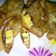 Cooksnap dari Siswaty Elfin Bachtiar untuk resep Pisang Cokelat