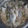 Cooksnap dari Dewi Asparini untuk resep Kembung tim asam jawa
