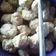 Cooksnap dari Safitri untuk resep Bakso tempe