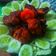 Cooksnap dari Umm.Fath Kitchen untuk resep Ayam bakar yg mantapp...