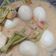 Cooksnap dari mega.ms untuk resep Opor telur tahu