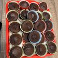 eagleszem Cooksnap-ja, amikor elkészítette a(z) Csokis muffin receptet.