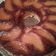 El cooksnap de Yamila cuando hizo Torta de manzana 🍎😋.