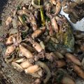 Cooksnap dari versita ganda untuk resep Cumi Asin Sambal Hijau