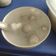 Cooksnap của Thu Mèo khi họ làm theo món Chè bột lọc bọc dừa🥥🥥🥥