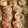 Cooksnap de Pimouss sur la recette Feuilletés roulés bacon et Boursin
