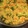 El cooksnap de LAURA GORRÍA cuando hizo Quinoa con verduras.
