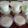 Cooksnap dari Ananda Paramitha untuk resep Puding Sedot 2