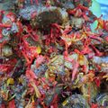 Cooksnap dari Inne untuk resep Dendeng batokok lado hijau