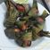 Cooksnap dari Julie Djulie untuk resep Thai Pandan-Wrapped Chicken aka Ayam Goreng Pandan Thailand