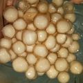 Cooksnap dari Istiharoh untuk resep Buble  Pearl 3 warna