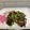 Cooksnap dari Alula El Shanum untuk resep Ayam crispy saus teriyaki