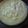El cooksnap de PaMu Roa cuando hizo Crema pastelera.