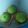 Cooksnap dari Try Arie untuk resep Pao pandan coklat