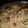 kambriah's cooksnap of when they made Cheesy Chicken and Mushrooms.