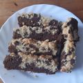 kathosaurus's cooksnap of when they made Cookie-Brownies.